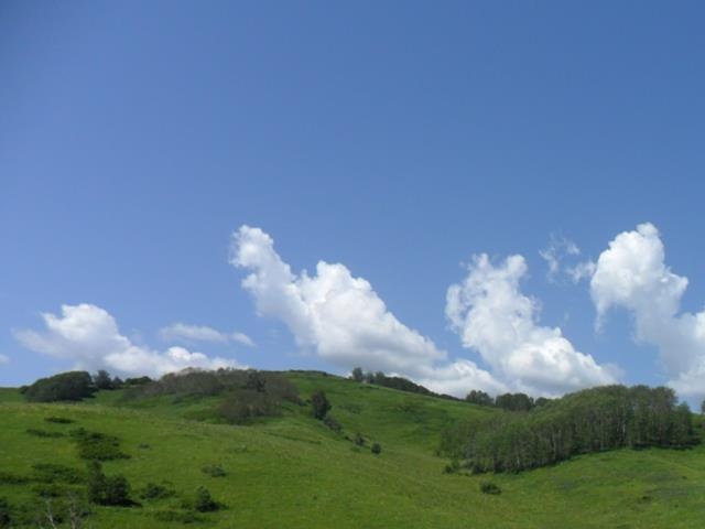 Я люблю ВКО!