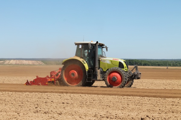 От картофеля до бахчевых