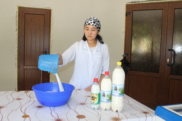 Сделано в Казахстане. Секреты целебного напитка