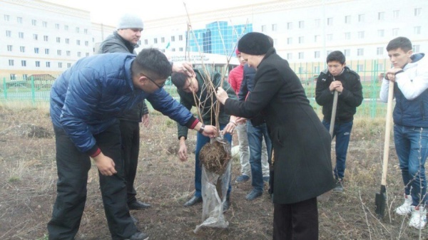 «Зашумят листвою молодые деревца…»