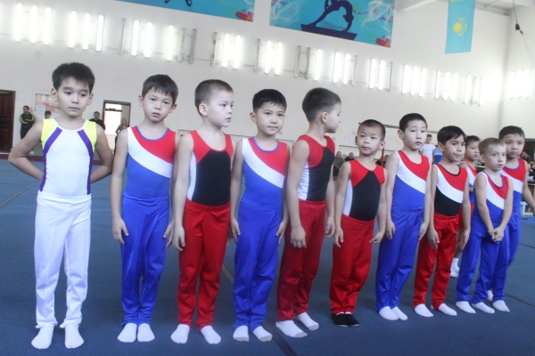 Мастерство на спортивном ковре