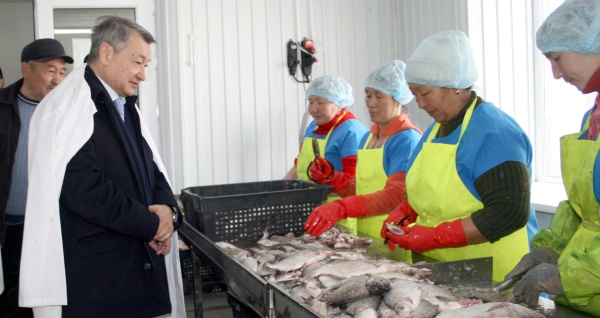 Развивать свое дело