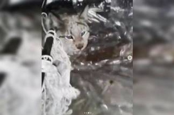 «По пути просвещения…»
