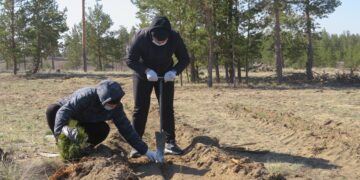 Сохраняя лесной фонд региона