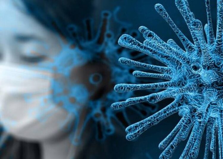 Эпидситуация под контролем