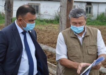 Поддержка сельхозпредприятий