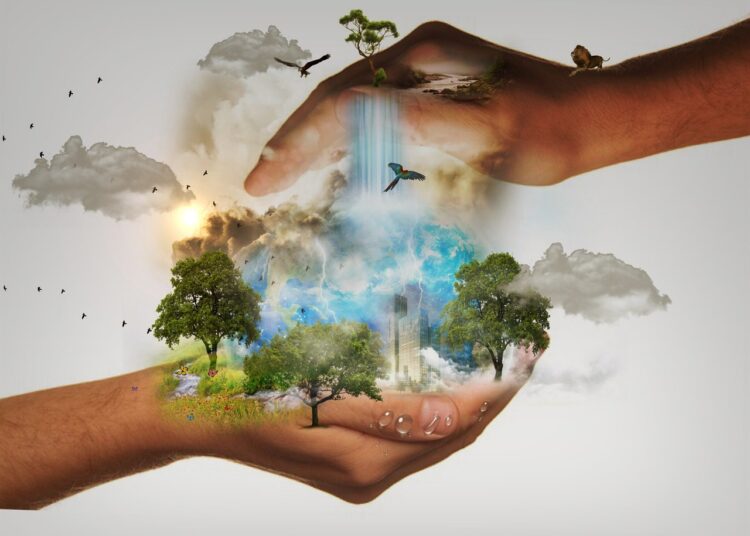 Окружающая среда – это мы с вами