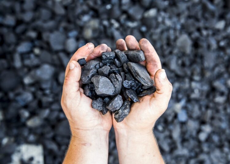 Подготовились к холодам