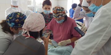 Забота о братьях наших меньших