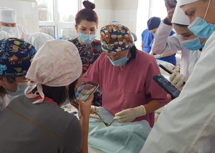 Забота о братьях наших меньших