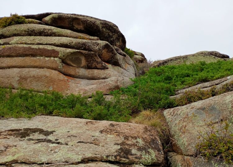 Находки в горах Кокентау