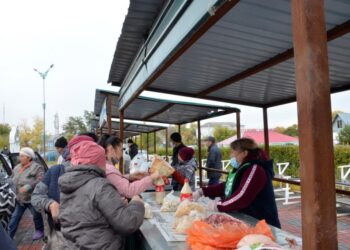 Хорошая цена, отличное качество