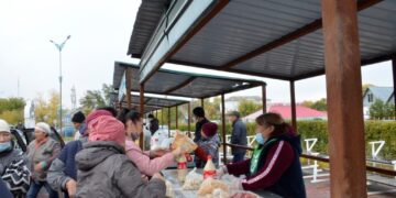 Хорошая цена, отличное качество