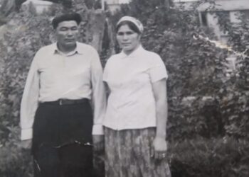 Если разводишь скот — начинай с овец