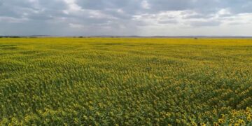 Сельское хозяйство: обеспечен рост, имеет вес