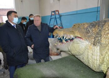 Наполнить город местным колоритом