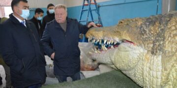 Наполнить город местным колоритом