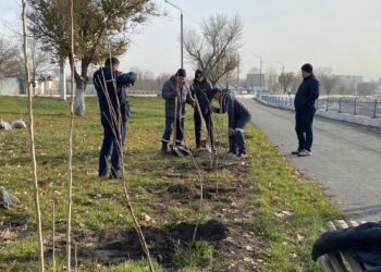 На благо экологии