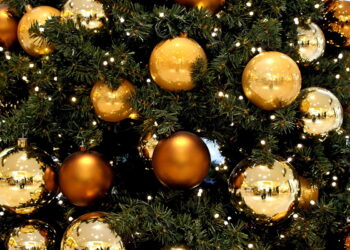 И неведомо откуда к нам приходит Новый год!