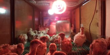 Применять знания на практике