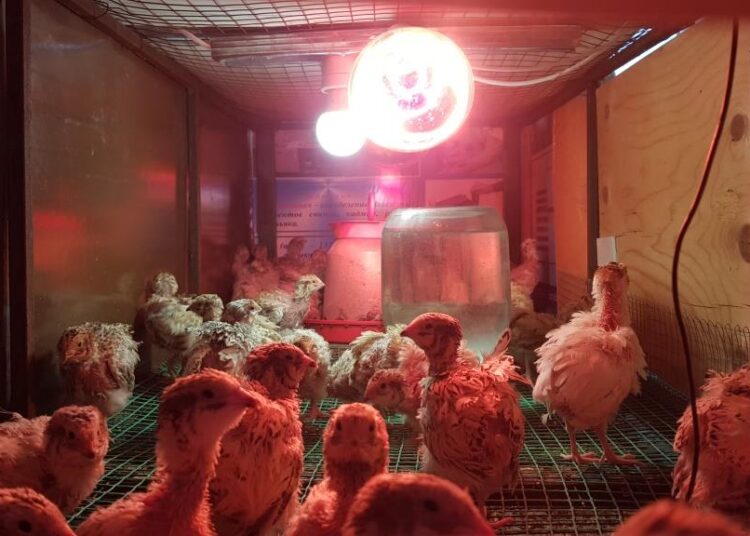 Применять знания на практике