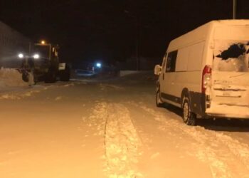 Капризы природы