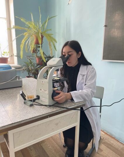 Лечебные травы из асфальта