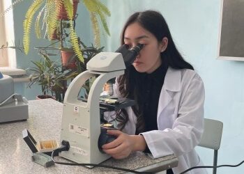 Лечебные травы из асфальта