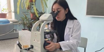 Лечебные травы из асфальта