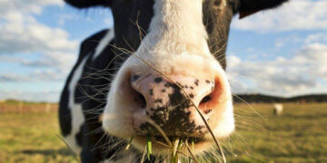 Создавать условия для аграриев