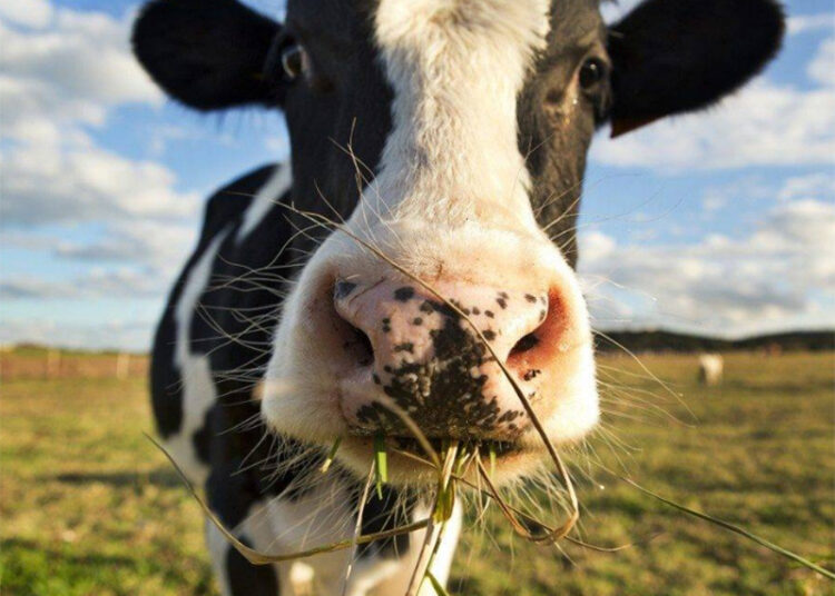 Создавать условия для аграриев