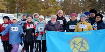 Скандинавская ходьба: Проблемы. Поиск. Решения.