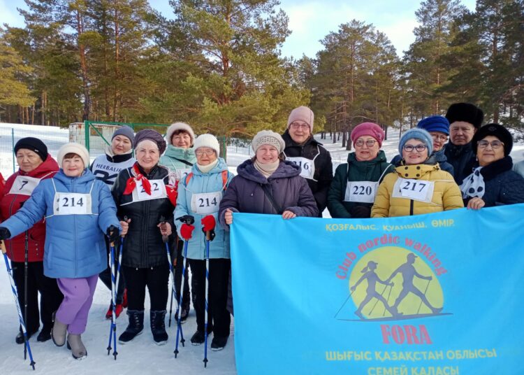 Скандинавская ходьба: Проблемы. Поиск. Решения.