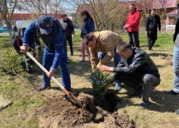 Особый подарок