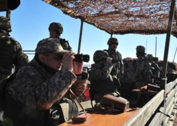 Отработали тактические задачи на полигоне