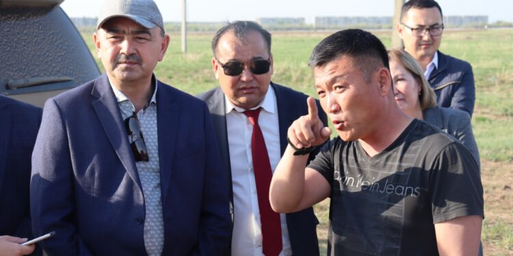 Что посеешь, то пожнешь