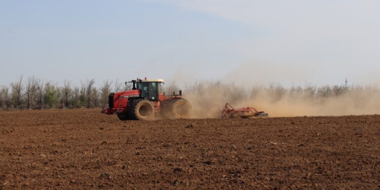 Что посеешь, то пожнешь