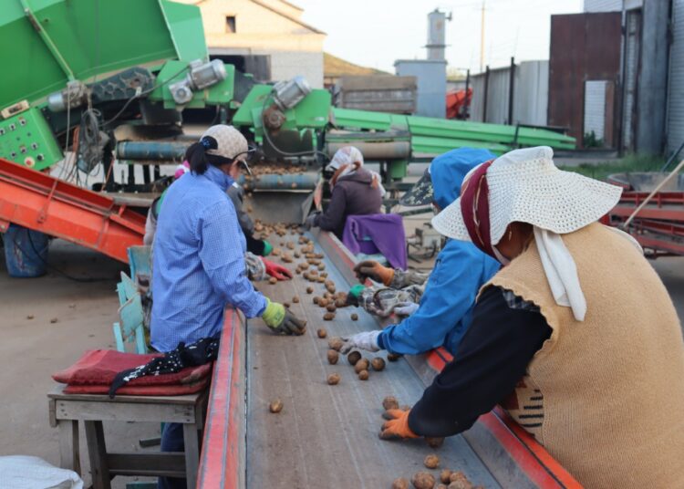 Что посеешь, то пожнешь