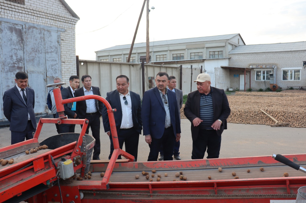 Что посеешь, то пожнешь