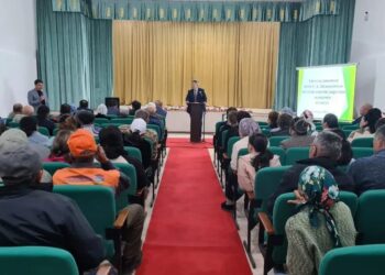 Благоустроить каждое село