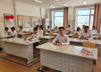 Тотальный диктант: есть грамотные?