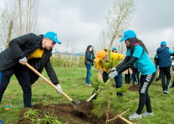 На страже чистоты и порядка