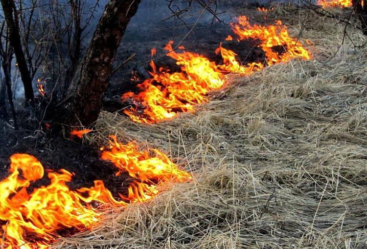 Внимание: пожароопасный период !