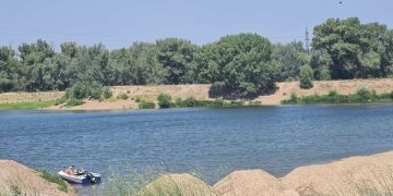 Вновь поплывут корабли