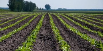 Инновации переходят на поле