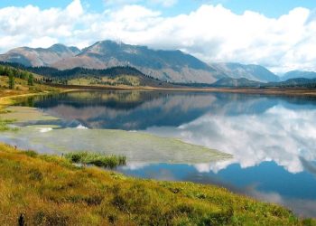 «Умный в гору не пойдет, умный гору обойдет…»