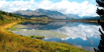 «Умный в гору не пойдет, умный гору обойдет…»