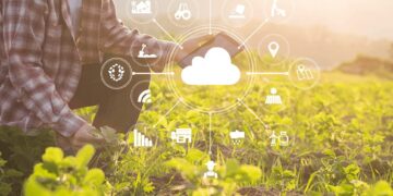 С древних времен и до эпохи цифровизации