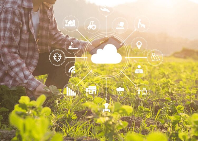 С древних времен и до эпохи цифровизации