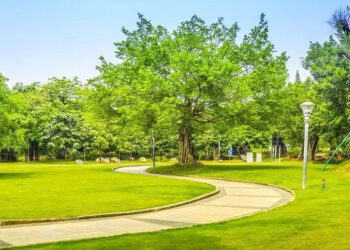 На пути к решению вопроса экологии